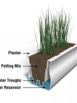 Valencia Window Box, 4' 13 Valencia Window Box, 4' -Garden Care Sale 8596436 17V tif