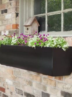 Valencia Window Box, 4' 10 Valencia Window Box, 4' -Garden Care Sale 8596437 001V tif