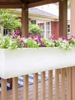 Valencia Window Box, 4' 9 Valencia Window Box, 4' -Garden Care Sale 8596437 006V tif