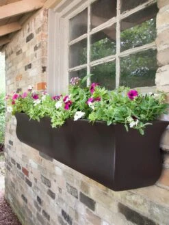 Valencia Window Box, 4' 11 Valencia Window Box, 4' -Garden Care Sale 8596437 08V tif
