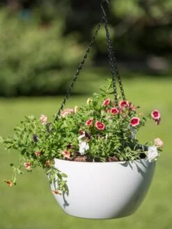 Viva Self-Watering Hanging Basket, 14" Diameter -Garden Care Sale 8596442 0864 tif