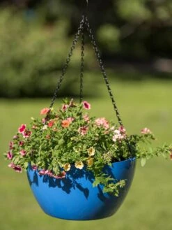 Viva Self-Watering Hanging Basket, 14" Diameter -Garden Care Sale 8596442 0876 tif