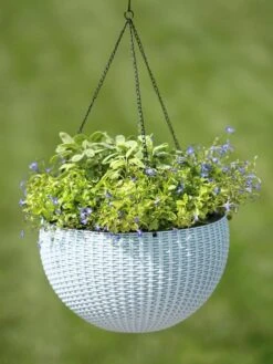 Weave Self-Watering Hanging Basket, 14" -Garden Care Sale 8596490 10307 tif