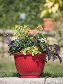 Mazzano Self-Watering Planters -Garden Care Sale 8596564 4883 tif