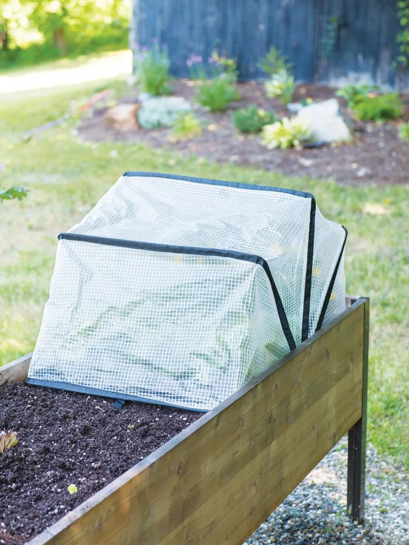 Pop-Up Crop Protector 1 Pop-Up Crop Protector