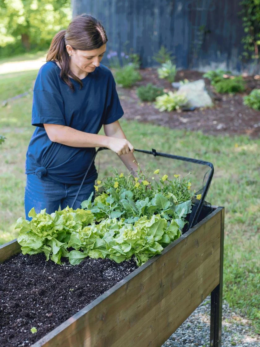 Pop-Up Bird Netting 2 Pop-Up Bird Netting - Image 2