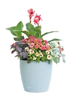Weave Self-Watering Round Planter, 14" -Garden Care Sale 8597388 2175 tif