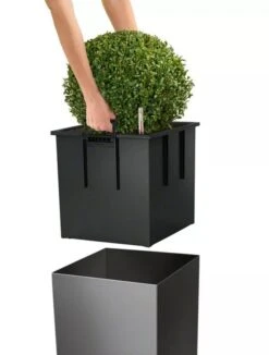 Lechuza® Cube Premium Planters -Garden Care Sale 8597506 04V tif