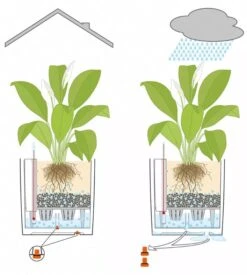 Lechuza® Cube Premium Planters -Garden Care Sale 8597506 05V tif
