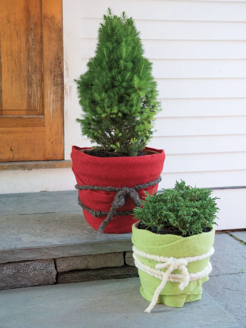 GardenWool® Cord 1 GardenWool® Cord