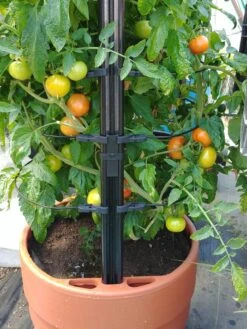 Gardener’s Victory Self-Watering Planter With Support System -Garden Care Sale 8598384 01EMP tif