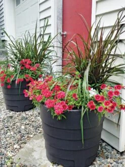 Gardener’s Victory Self-Watering Patio Planter