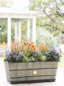 VegTrug™ Trough Planters 14 VegTrug™ Trough Planters -Garden Care Sale 8598402 08880 tif