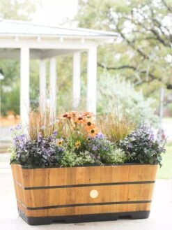 VegTrug™ Trough Planters 12 VegTrug™ Trough Planters -Garden Care Sale 8598402 8880 tif
