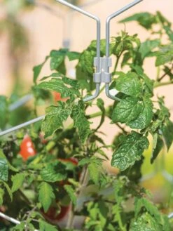 Gardener's Vertex Lifetime Tomato Cage -Garden Care Sale 8598426 0011 tif