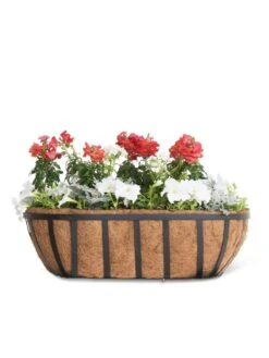 AquaSave™ Oxford Window And Deck Planters 7 AquaSave™ Oxford Window And Deck Planters -Garden Care Sale 8598626 8809 tif