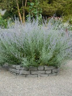 Rock Lock Interlocking Garden System, Curved Sets -Garden Care Sale 8598737 04V tif