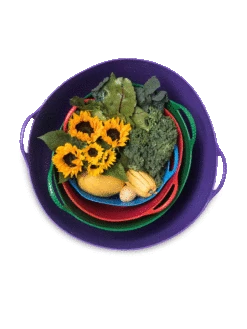 Colorful Tubtrug, 7 Gallon -Garden Care Sale 8599088 20GalTubTrug gif