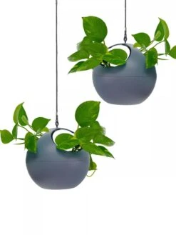 Exaco Euro Hanging Planters, Set Of 2 -Garden Care Sale 8599179 04V tif