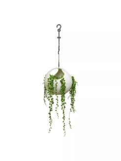 Exaco Euro Hanging Planters, Set Of 2 -Garden Care Sale 8599179 06V tif