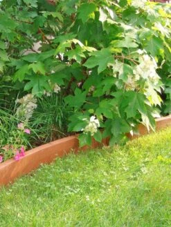 Curved Landscape Edging Kit With 2" Boards -Garden Care Sale 8599407 03V tif