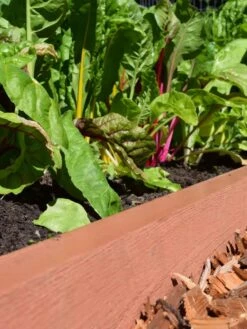 Straight Landscape Edging Kit With 2" Boards -Garden Care Sale 8599408 02V tif