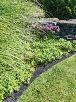 Recycled Rubber Mulch Edging, 12’ X 6” -Garden Care Sale 8599854 0897 tif