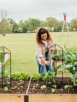 Zenith Folding Garden Supports, Set Of 2 -Garden Care Sale 8600073 324 tif