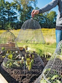 Chicken Wire Cloche With Extension -Garden Care Sale 8600116 0604 3 4
