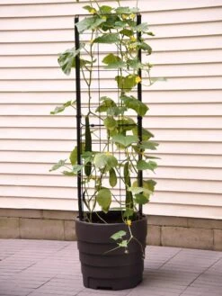 Gardener’s Victory Self-Watering Planter Garden With Vine Trellis -Garden Care Sale 8600177 9876 tif 1