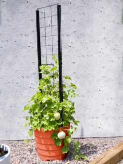 Gardener’s Victory Self-Watering Planter Garden With Vine Trellis -Garden Care Sale 8600178 05487 tif