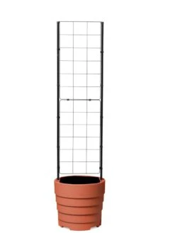 Gardener’s Victory Self-Watering Planter With Vine Trellis -Garden Care Sale 8600178 7000 tif
