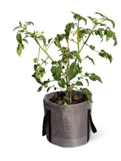 Reinforced Colorful Grow Bags -Garden Care Sale 8600229 0944 tif