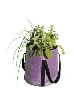 Reinforced Colorful Grow Bags -Garden Care Sale 8600230 0948 tif