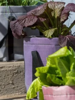 Reinforced Colorful Grow Bags -Garden Care Sale 8600230 20013 tif