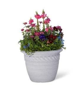 Cortina Self-Watering Planters -Garden Care Sale 8600316 19838 tif