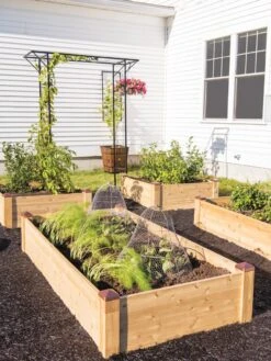 Copper Cap Raised Beds -Garden Care Sale 8600497 0530 tif