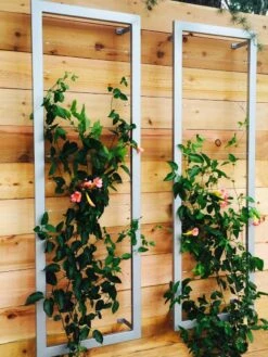 Ina Modern Wall Trellis Sr. -Garden Care Sale 8600510 06V tif