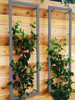 Ina Modern Wall Trellis Sr. -Garden Care Sale 8600510 08V jpg