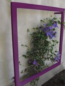 Ina Modern Wall Trellis Jr. -Garden Care Sale 8600512 01V tif