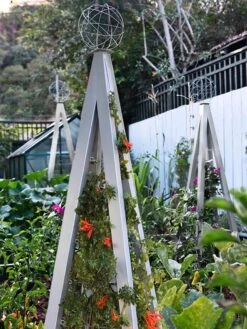 Akoris Garden Tuteur Jr. -Garden Care Sale 8600517 07V tif