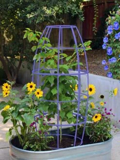 Toki Bubble Trellis -Garden Care Sale 8600520 02V tif