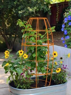 Toki Bubble Trellis -Garden Care Sale 8600520 03V tif
