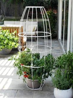 Toki Bubble Trellis -Garden Care Sale 8600520 05V tif