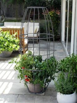 Toki Bubble Trellis -Garden Care Sale 8600520 07V jpg