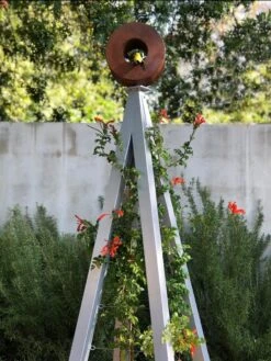 Bird Cafe + Akoris Garden Tuteur Sr. -Garden Care Sale 8600525 07v