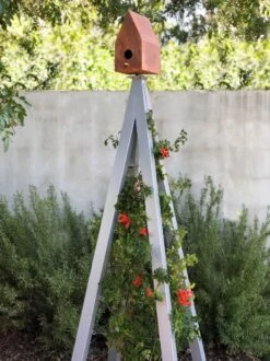 Bird Bungalow + Akoris Garden Tuteur Jr. -Garden Care Sale 8600541 07v