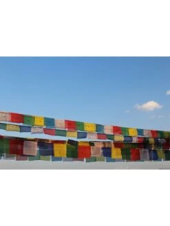 Tibetan Prayer Flags -Garden Care Sale 8600646 01v