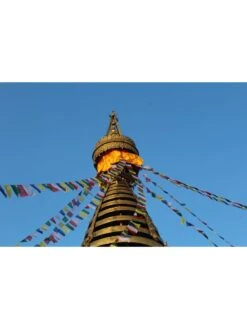 Tibetan Prayer Flags -Garden Care Sale 8600646 04v