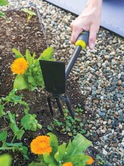 Gardener's 2-in-1 Short Handle Hoe And Cultivator -Garden Care Sale 8608657 19474 tif